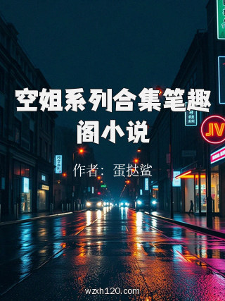 空姐系列合集笔趣阁小说