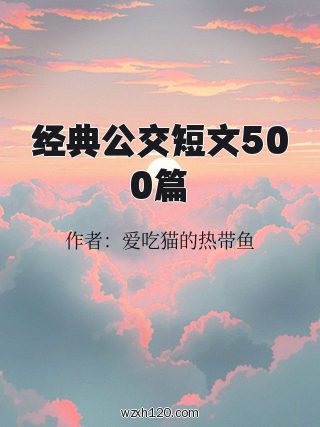 经典公交短文500篇