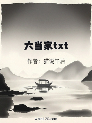 大当家txt