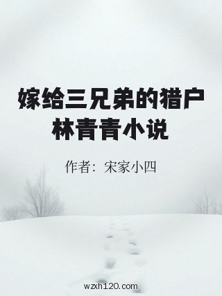 嫁给三兄弟的猎户林青青小说