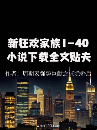 新狂欢家族1-40小说下载全文贴夫