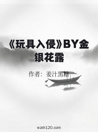 《玩具入侵》BY金银花露