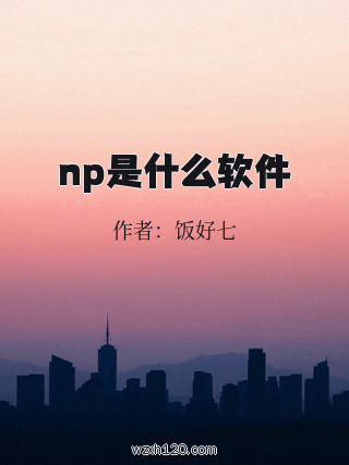 np是什么软件