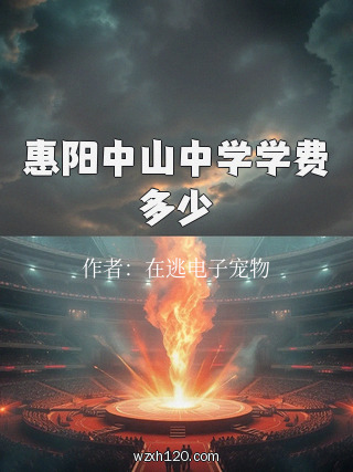 惠阳中山中学学费多少
