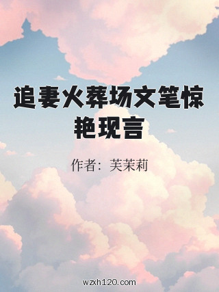 追妻火葬场文笔惊艳现言