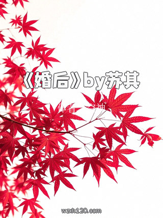 《婚后》by苏其