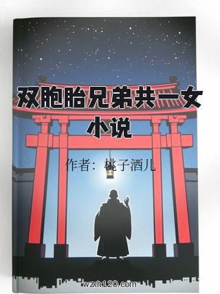 双胞胎兄弟共一女小说