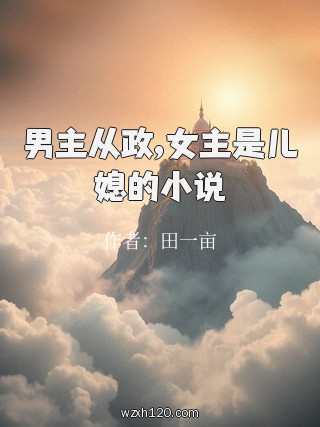 男主从政,女主是儿媳的小说
