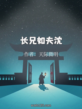 长兄如夫沈