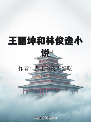 王丽坤和林俊逸小说