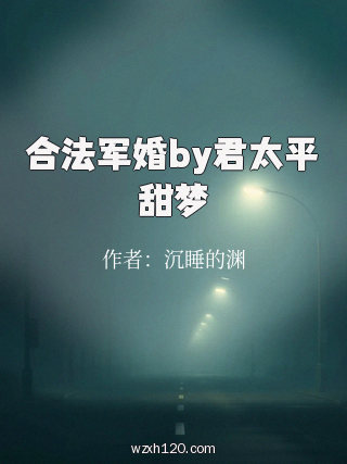 合法军婚by君太平甜梦