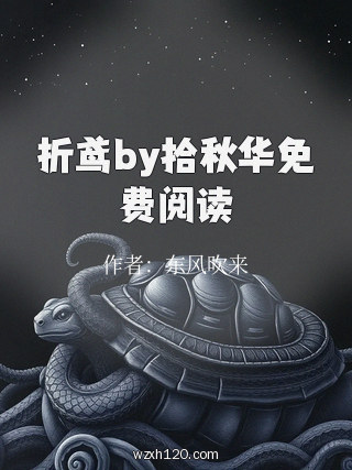 折鸢by拾秋华免费阅读