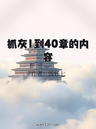 抓灰1到40章的内容