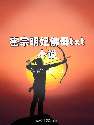 密宗明妃佛母txt小说