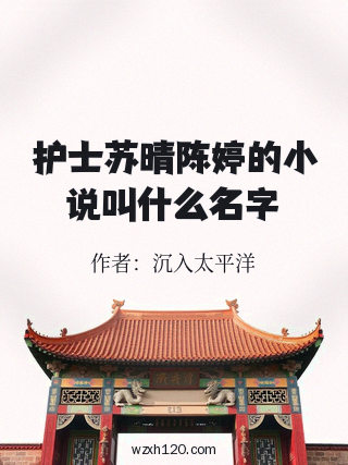 护士苏晴陈婷的小说叫什么名字