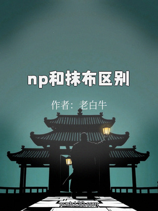np和抹布区别