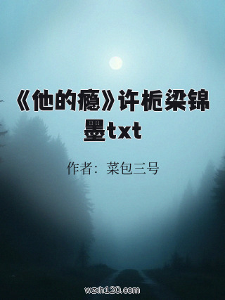 《他的瘾》许栀梁锦墨txt