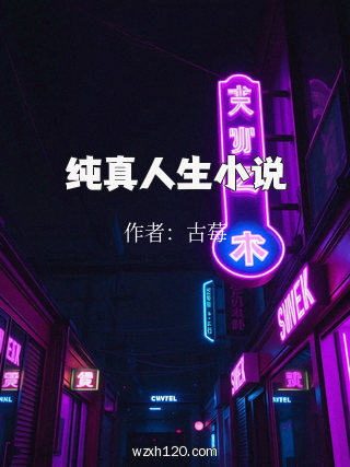 纯真人生小说