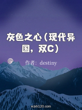 灰色之心(现代异国,双C)