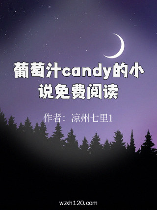 葡萄汁candy的小说免费阅读
