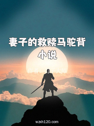 妻子的救赎马驼背小说