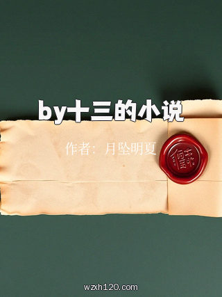 by十三的小说
