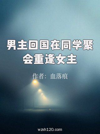 男主回国在同学聚会重逢女主