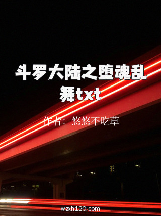 斗罗大陆之堕魂乱舞txt