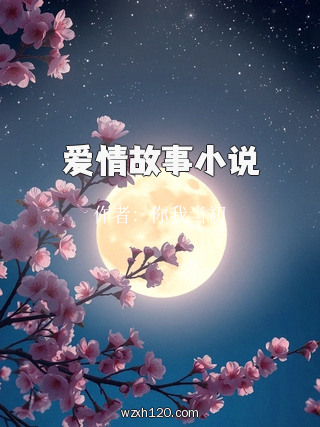 爱情故事小说