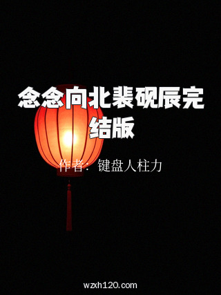 念念向北裴砚辰完结版