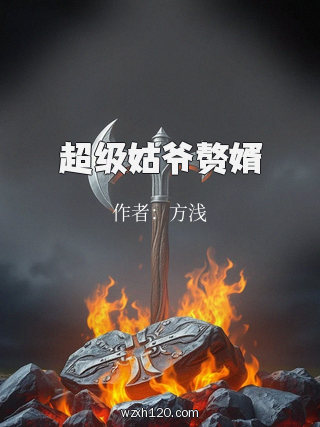超级姑爷赘婿
