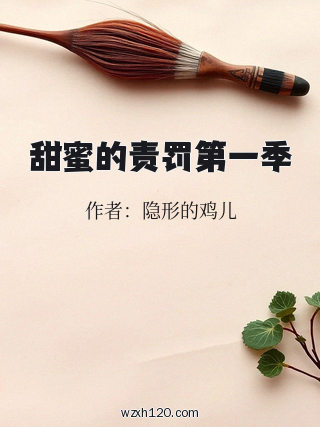 甜蜜的责罚第一季