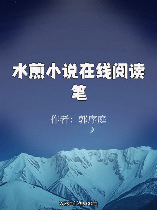 水煎小说在线阅读笔