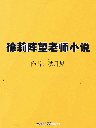 徐莉陈望老师小说