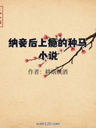 纳妾后上瘾的种马小说