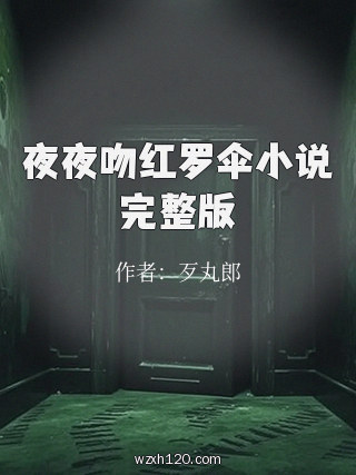 夜夜吻红罗伞小说完整版
