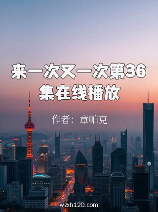 来一次又一次第36集在线播放