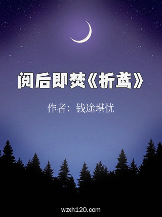 阅后即焚《折鸢》