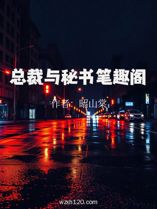 总裁与秘书笔趣阁