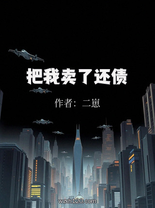 把我卖了还债