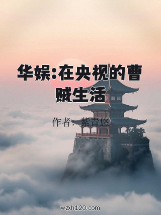 华娱:在央视的曹贼生活