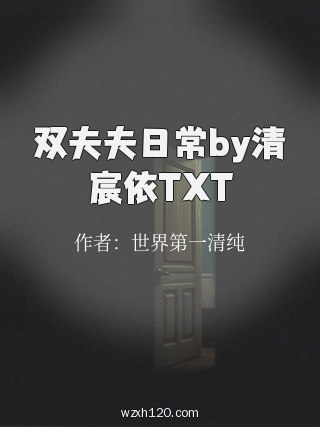 双夫夫日常by清宸依TXT