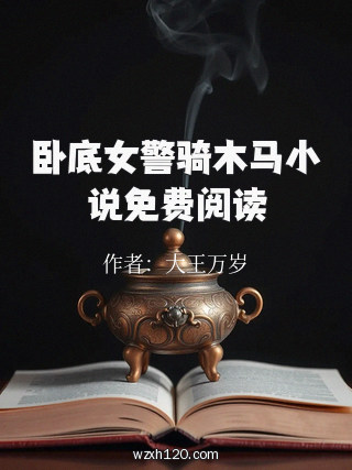 卧底女警骑木马小说免费阅读