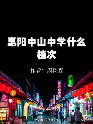 惠阳中山中学什么档次