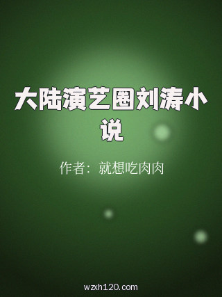 大陆演艺圈刘涛小说