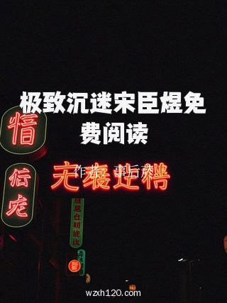 极致沉迷宋臣煜免费阅读