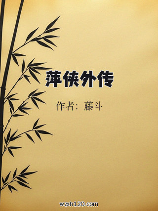 萍侠外传