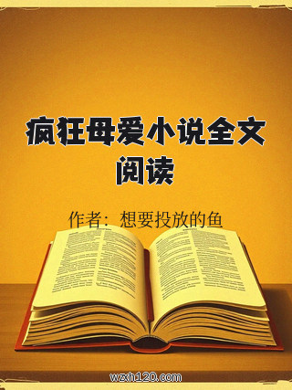 疯狂母爱小说全文阅读
