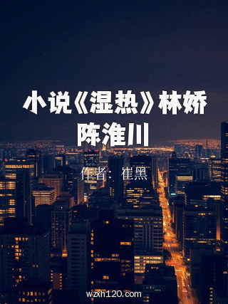 小说《湿热》林娇陈淮川