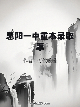 惠阳一中重本录取率
